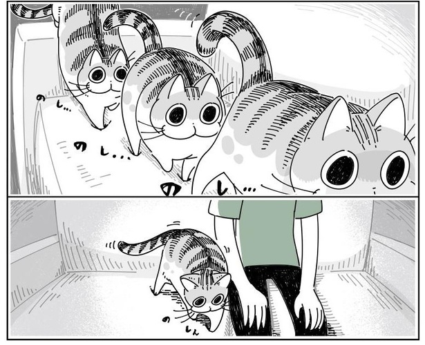 「隣にすわる猫」2/6