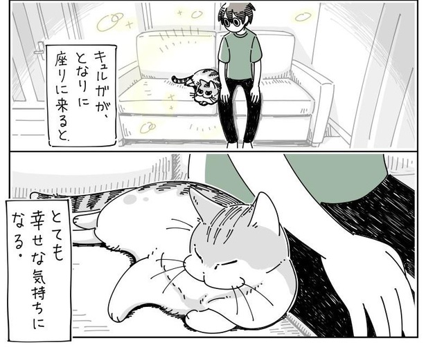 「隣にすわる猫」4/6