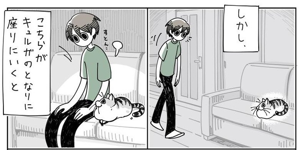 「隣にすわる猫」5/6