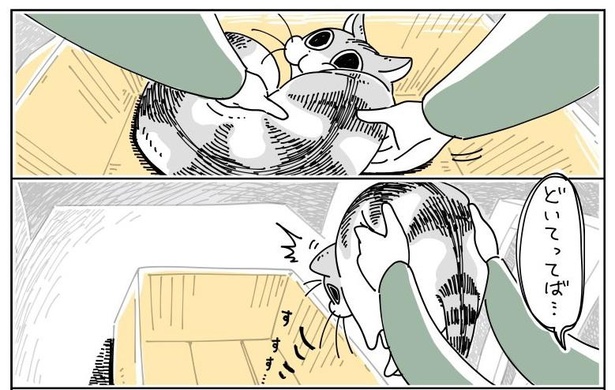 「どいてくれない猫」9/11