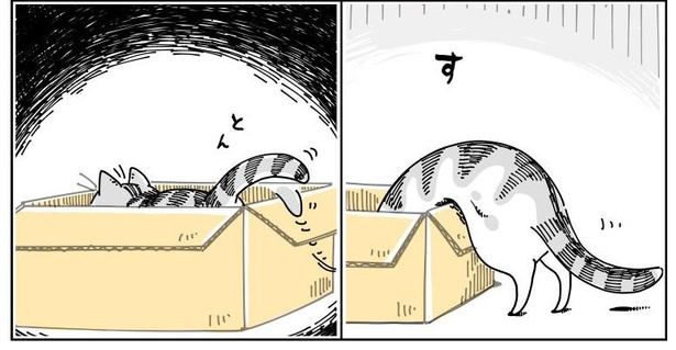 「どいてくれない猫」2/11
