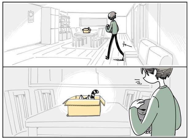 「どいてくれない猫」3/11