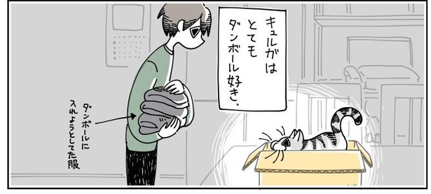 「どいてくれない猫」5/11