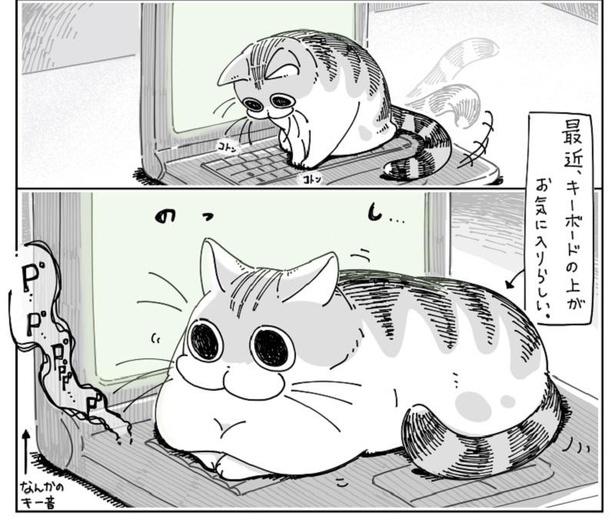 「キーボードの上の猫」2/7
