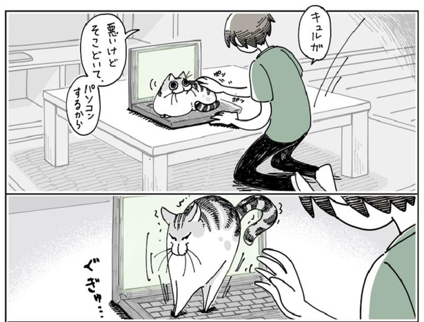 「キーボードの上の猫」3/7