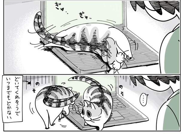 「キーボードの上の猫」4/7