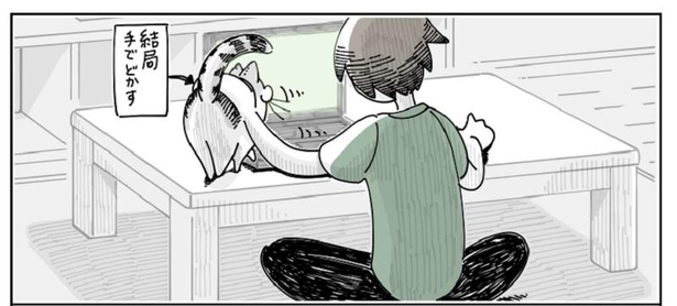 「キーボードの上の猫」5/7