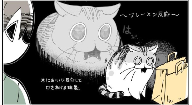 「チェックしにくる猫」4/11