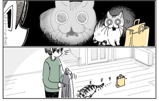 「チェックしにくる猫」5/11