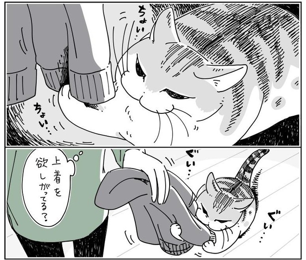 「チェックしにくる猫」6/11