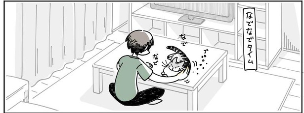 「猫がかんできた」2/9