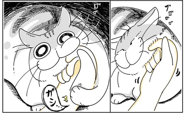 「猫がかんできた」3/9