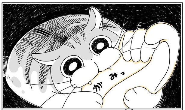 「猫がかんできた」4/9