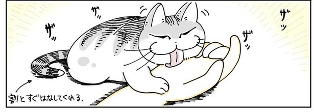 「猫がかんできた」6/9