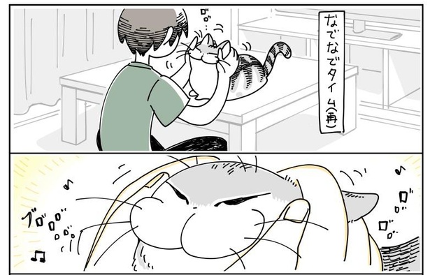 「猫がかんできた」7/9