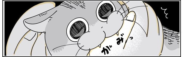 「猫がかんできた」8/9