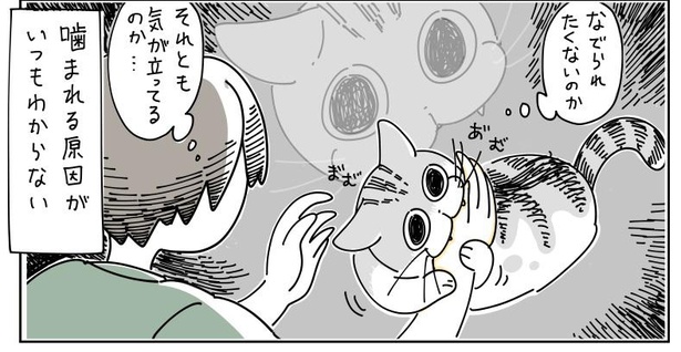 「猫がかんできた」9/9