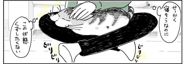 「猫が足に乗りにきた」6/10
