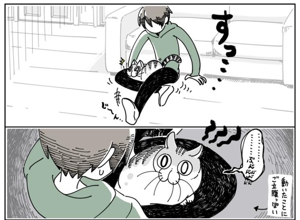 「猫が足に乗りにきた」8/10