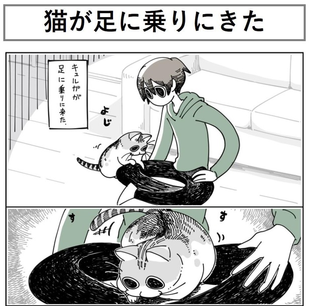 「猫が足に乗りにきた」1/10