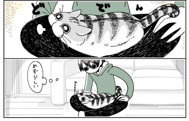 「猫が足に乗りにきた」2/10