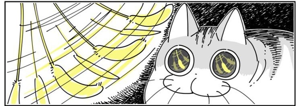 「猫が遊びに誘ってきた」4/12