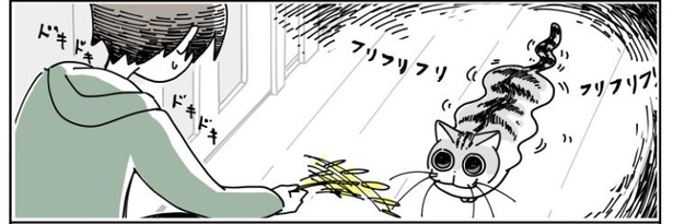 「猫が遊びに誘ってきた」5/12