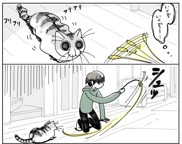 「猫が遊びに誘ってきた」7/12