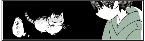「猫が遊びに誘ってきた」8/12