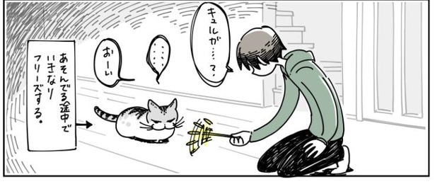 「猫が遊びに誘ってきた」9/12