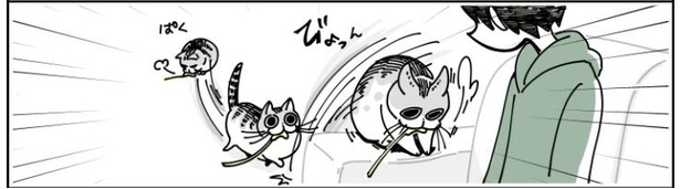 「猫が遊びに誘ってきた」11/12