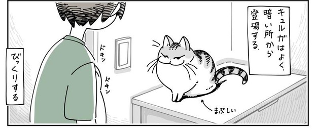 「猫にビックリする」2/6