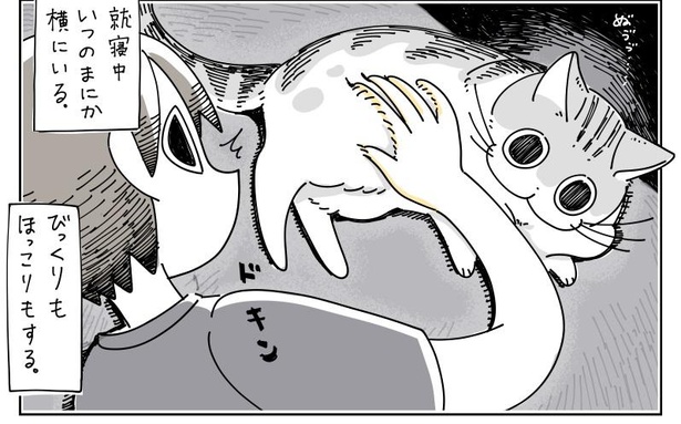 「猫にビックリする」6/6