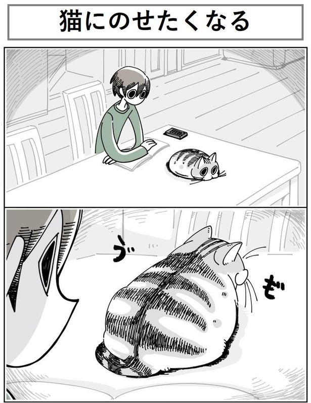 「猫にのせたくなる」1/10