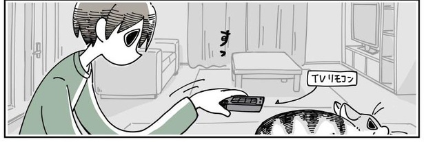 「猫にのせたくなる」2/10