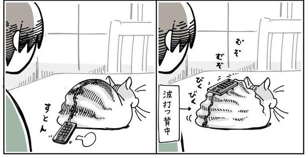 画像78 131 物を落としたい猫 隣にすわる猫 など 共感しかない 猫あるある 漫画がsnsで話題 ウォーカープラス