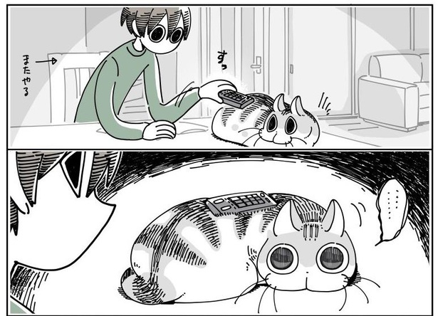 「猫にのせたくなる」6/10
