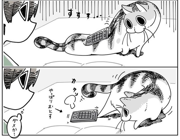 「猫にのせたくなる」7/10