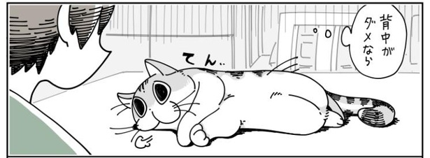 「猫にのせたくなる」8/10