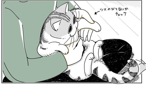 「猫の耳にビンタされる」2/8