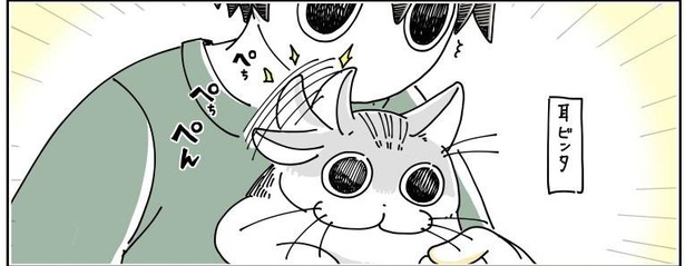 「猫の耳にビンタされる」4/8