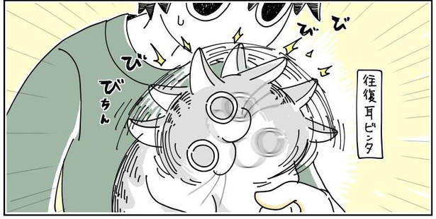 「猫の耳にビンタされる」5/8