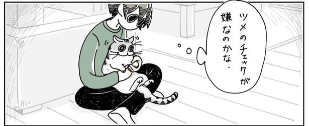 「猫の耳にビンタされる」6/8