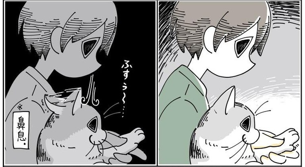 「猫の耳にビンタされる」7/8