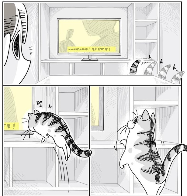 「映画鑑賞を邪魔する猫」3/7