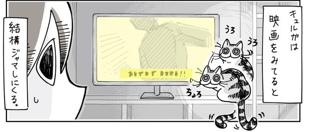 「映画鑑賞を邪魔する猫」4/7