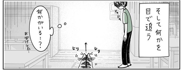 「何かを見つめる猫」4/7