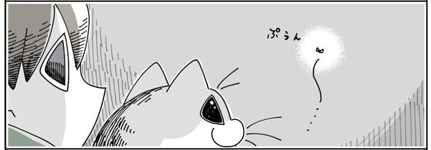 「何かを見つめる猫」6/7