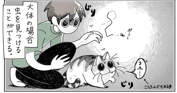 「何かを見つめる猫」7/7