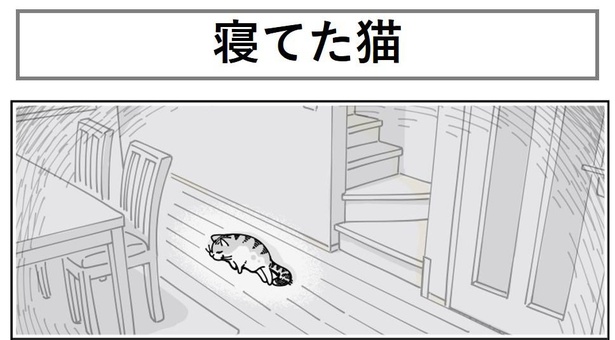「寝てた猫」1/7